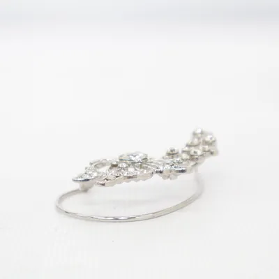 Bague d'oreille (Argent) Métal inconnu