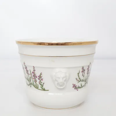 Pot (Calluna Vulgaris) de Fyrklövern