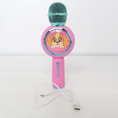 Microphone (Rose, Turquoise) de Spin Master