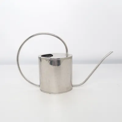 Tuingereedschap (Zilver)