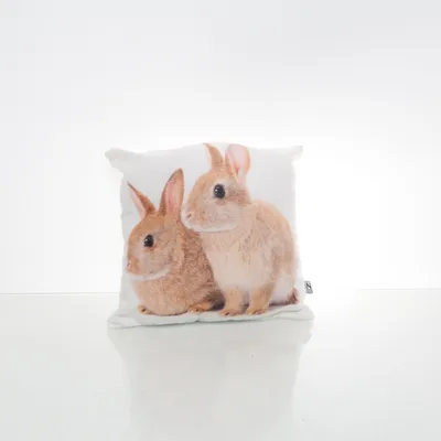 Coussin décoratif (Blanc, Marron) de In Home