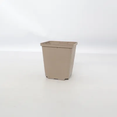 Pot (Beige) de Gottinger