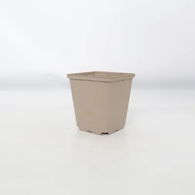 Pot (Gris) de Gottinger
