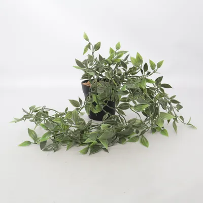 Artificial plant (Green, Black)