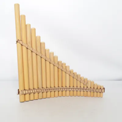 Instrument (Brun)