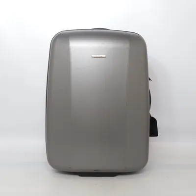 Suitcase (Gray) from Titan