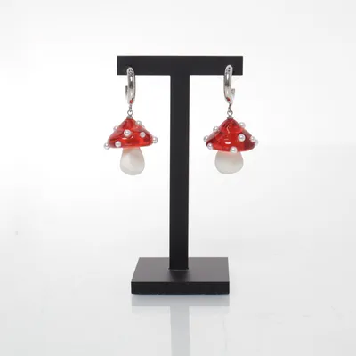 Örhängen (Röd, Silverfärgad) Okänd metall