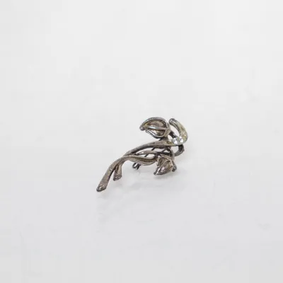 Brooch (Silver) Unknown metal