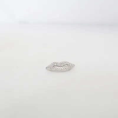 Brosch (Flerfärgad) Okänd metall