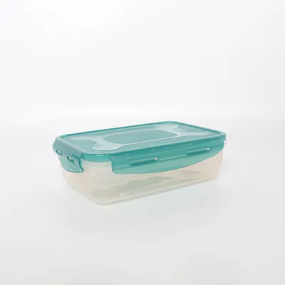Boîte à déjeuner (Vert) de Amazon Basics