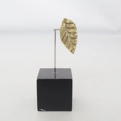 Broche (Goud) Onbekend materiaal