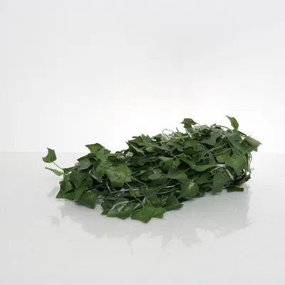 Woondecoratie (Groen)