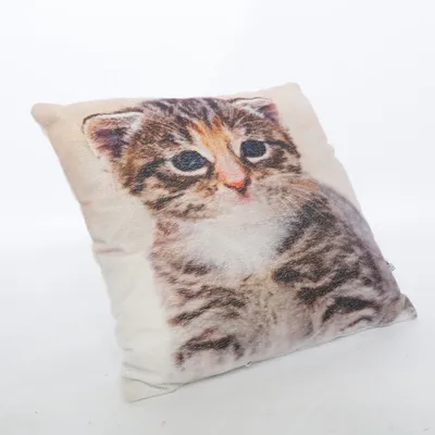 Prydnadskudde (Beige, Brun, Flerfärgad) från In Home