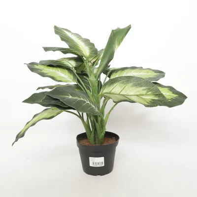 Kunstplant (Groen)