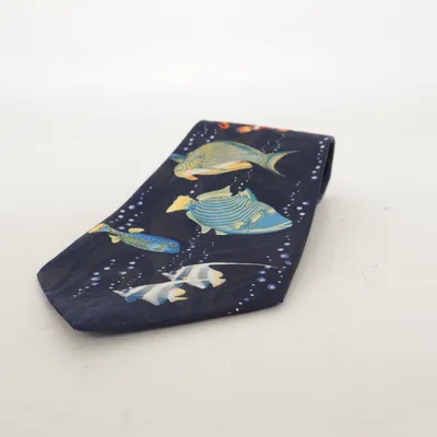 Tie (Blue, Multicolored) from Fratello Polyester