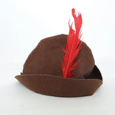 Costume accessories (Brown)
