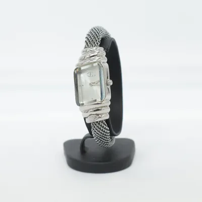Montre (Argent) de Cavalli