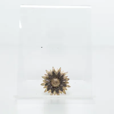 Brooch (Gold) Unknown metal