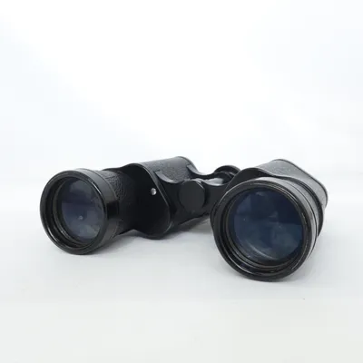 Binoculars (Black) from Aurora