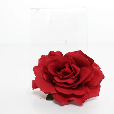 Broche (Rood, Groen) Onbekend materiaal