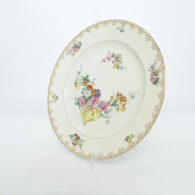 Tallrik (Beige, Flerfärgad) från Rosenthal