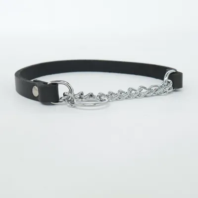 Dog collar (Black, Silver)