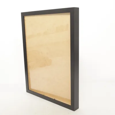 Frame (Black) from IKEA
