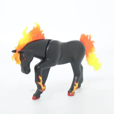 Legetøjsdyr (Sort, Flerfarvet) fra Playmobil