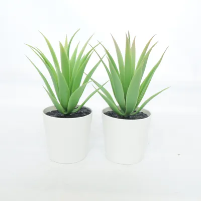 Artificial plant (Green, White) from IKEA
