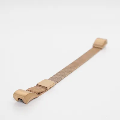 Watchband (Brown) from FitBit