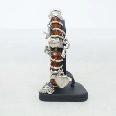 Armband (Brun, Silverfärgad) Okänd metall