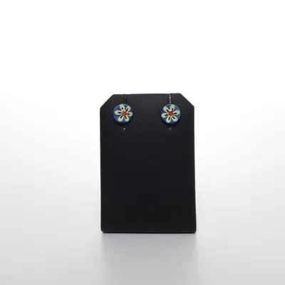 Oorbellen (Blauw, Geel) Onbekend materiaal