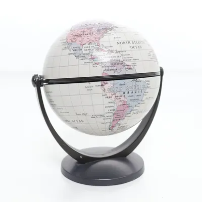 Globe (Black, White)