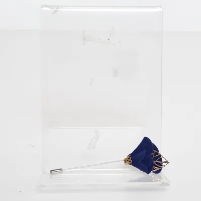 Lapel pin (Blue, Gold) Unknown metal