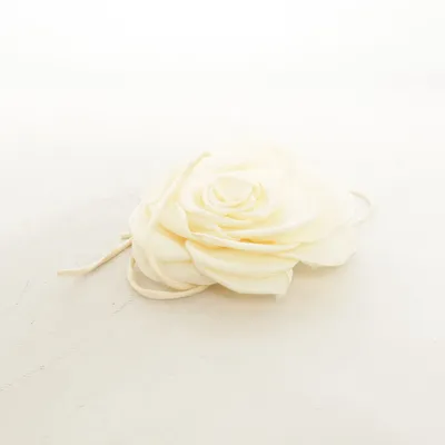 Hair accessory (White) from Pico