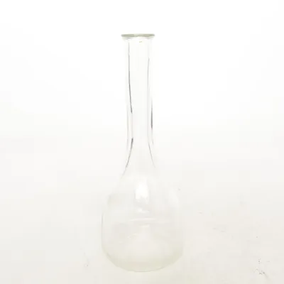 Vase (Transparent)