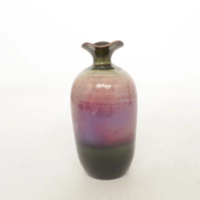 Vase (Violet, Vert, Multicolore)