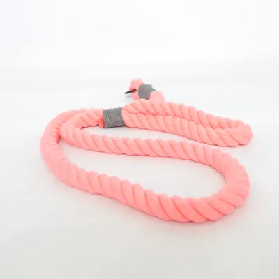 Leash (Pink)