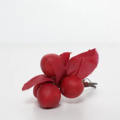 Inredningsdetalj (Röd)