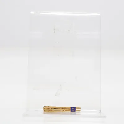 Slipsnål (Guldfärgad, Blå) Okänd metall