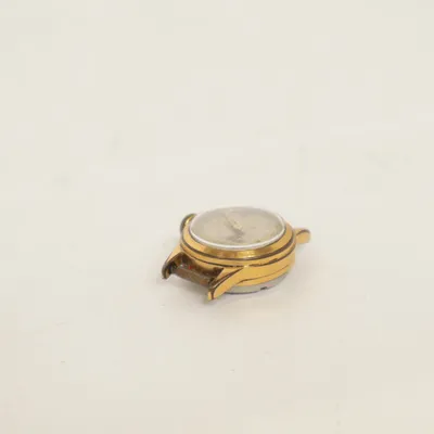 Wristwatch (Gold) from Para