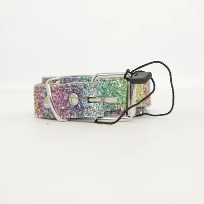 Ceinture (Multicolore)