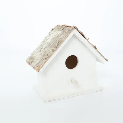 Fågelholk (Vit, Flerfärgad)