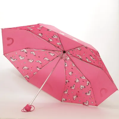 Parapluie (Rose, Multicolore)