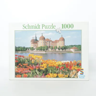 Puzzle from Schmidt Puzzle