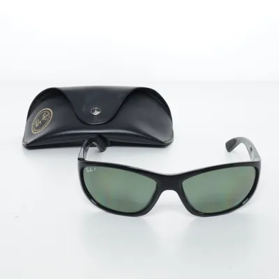 Sunglasses (Black) from Ray-Ban
