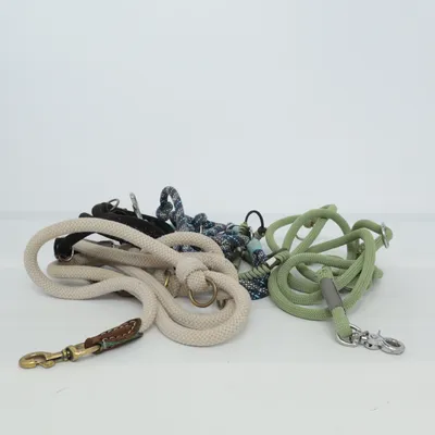 Hundtillbehör (Flerfärgad)