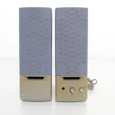 Speaker (Grijs) van Sony