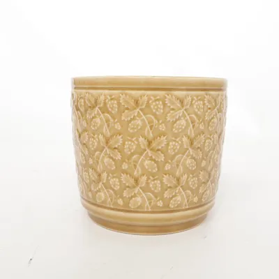 Bol (Marron) de Wikholm form
