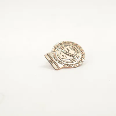 Pin (Brun) fra Intersport Ukendt metal